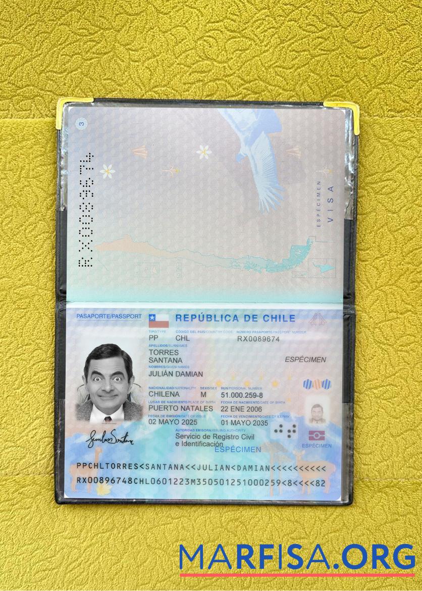 Blank Chile passport 2025 present photolook example